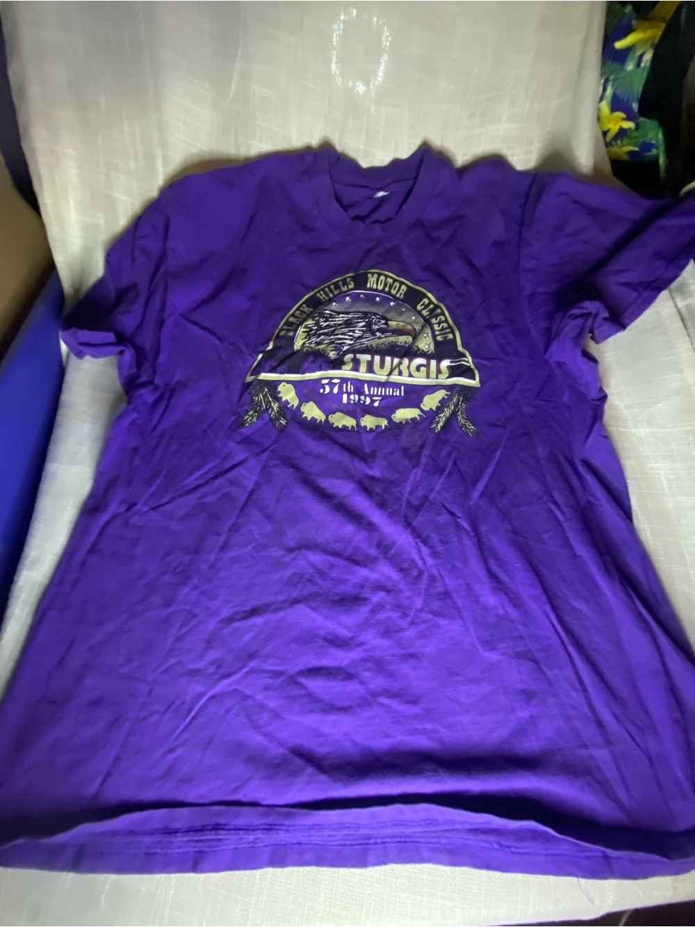 Sturgis Purple Short Sleeve Graphic Tee - Men's Casual Crew